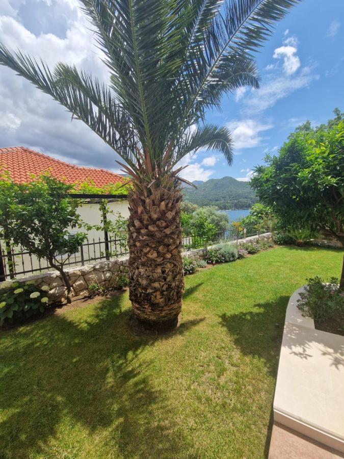 Villa Lukic Apartments Slano Ngoại thất bức ảnh